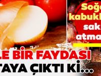 Soğan Kabuklarını Çöpe Atmayın bu Mucizesiyle tanışın - Etkisi Herkesi şaşırttı