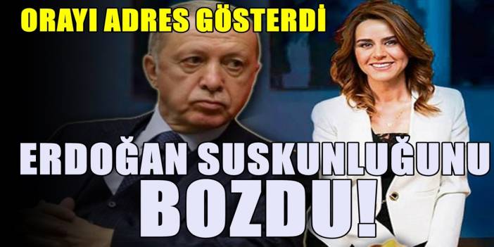 Erdoğan 'Fon' vurgununa dair ilk kez konuştu! 'Seçil Erzan' için ne dedi?