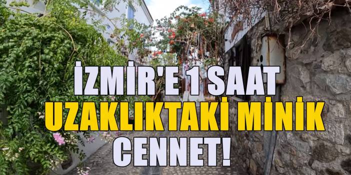 Sığacık herkesin sevdiği mahalle oldu