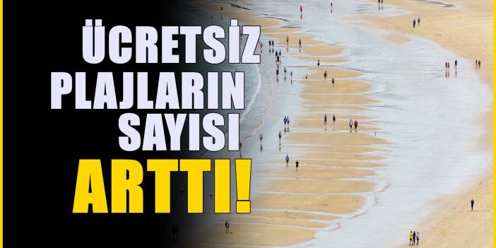 Ücretsiz halk plajı sayısı yükseldi! Denize girmek için ücretsiz plajların listesi