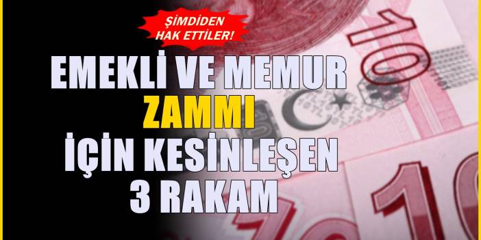 Emekli aylığı ve memur maaşı alanlara ödenecek! Temmuz için masadaki 3 rakam