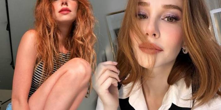 Fatih Altaylı Gözaltına Alındı, Elçin Sangu O Sözlerinden Pişman Oldu