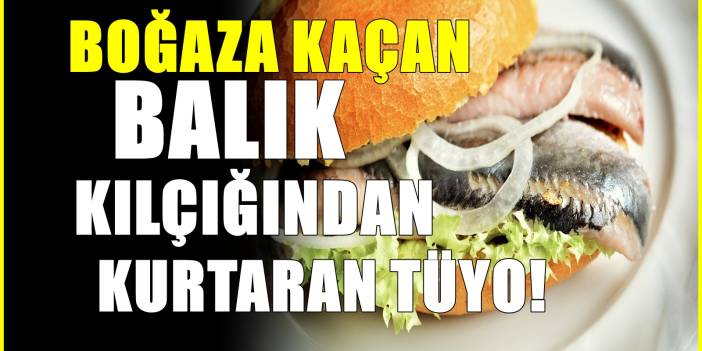 Boğaza kaçan balık kılçığı nasıl çıkarılır? Çoğu kişi size bu yöntemleri anlatmaz