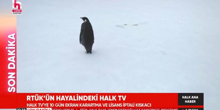 Halk TV’den RTÜK’e Penguen belgeseliyle tepki