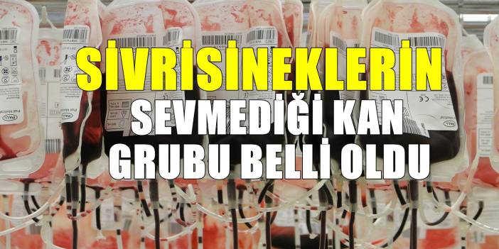 Sivrisineklerin yaklaşmadığı kan grubu belli oldu! Onlardan uzak duruyorlar