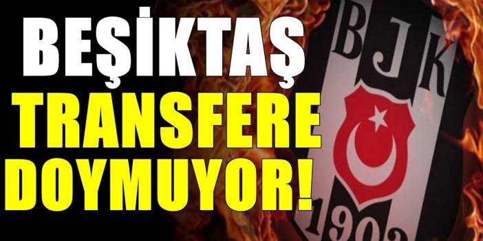 Beşiktaş transfere doymuyor! Ante Zizic'i de bitirdi