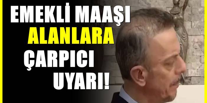 Çalışan ve Emekliler Dikkat! e-Devlet'te Bu Harfler Varsa Emeklilik İptal