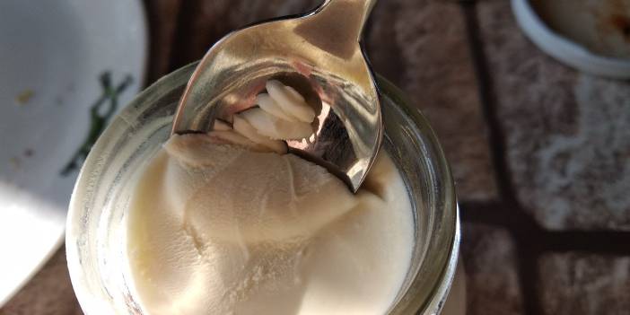 1 kase Yoğurt ve bir tutam nane Birleşirse… Etkileri Çok Şaşırtacak!