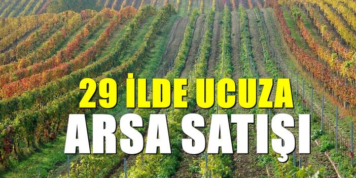 29 ilde 449 arsa satışa çıkarılıyor! Açık artırmalar Ekim’de başlayacak