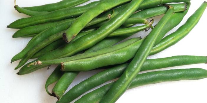 Türk Mutfağından Değişmeyen Tarif: Zeytinyağlı Taze Fasulye