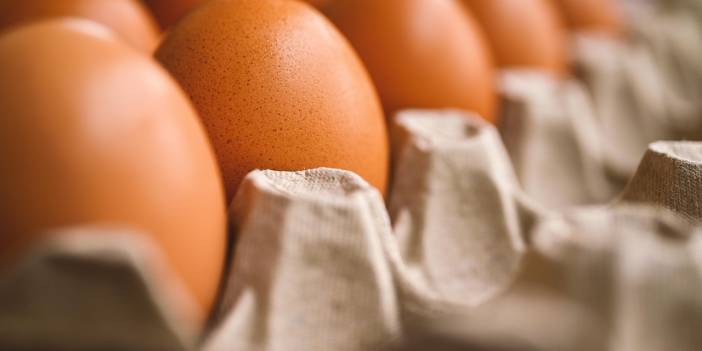 Yumurta kabusu sürüyor! Belçika'da Salmonella salgını devam ediyor