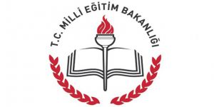 Müjde! TEOG sonuçları bugün açıklanıyor