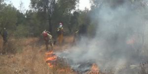 Muğla, Ula'da yangın büyümeye devam ediyor