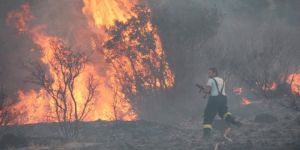 Bodrum’da 7 dönüm otluk ve makilik alan kül oldu