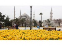 İstanbul'da Lale Zamanı