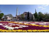Sultanahmet'te 1453 Metrekarelik 'Lale Halısı' Hazırlandı