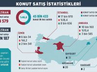 Konut Satış İstatistikleri Açıklandı