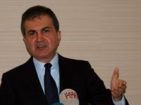 AB Bakanı Çelik Almanya'da ki Türkiye karşıtı partileri uyardı!