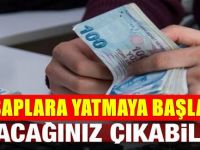 E-Devletten sorgulayın alacağınız olabilir - Hemen hesaba gönderiliyor