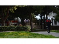 Antalya'da 'Arı' Operasyonu