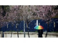 Edirne'de Kar Yağışı Başladı