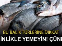 Etkisinin aylar sürdüğü Açıklandı : Üstelik en faydalısı diyorlardı