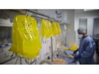 Türkiye'de Kanserin Yıllık Faturası 100 Milyar Lira