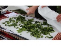 Çaykur'da Mevsimlik İşçiler 180 Gün Çalışacak