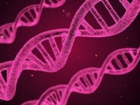 Hücrelerde DNA'nın Yeni Bir Yapısı Keşfedildi
