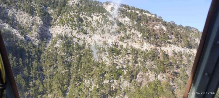 Alanya’da Orman Yangını
