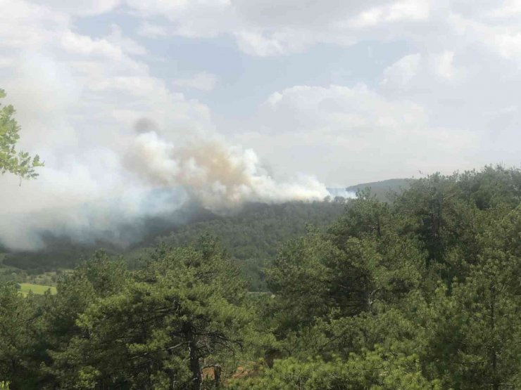 Bolu’da Orman Yangını