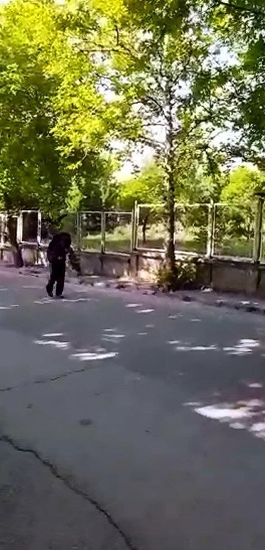 Yavrularını Korumak İsteyen Kargalar Vatandaşa Zor Anlar Yaşattı