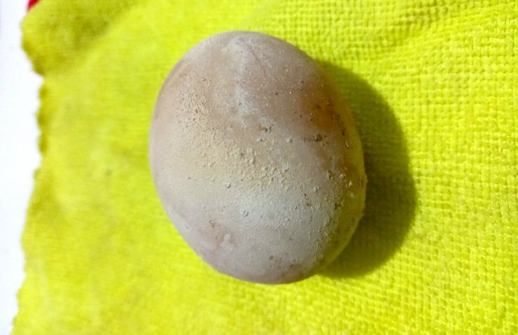Yumurta İçinde Yumurta Çıktı