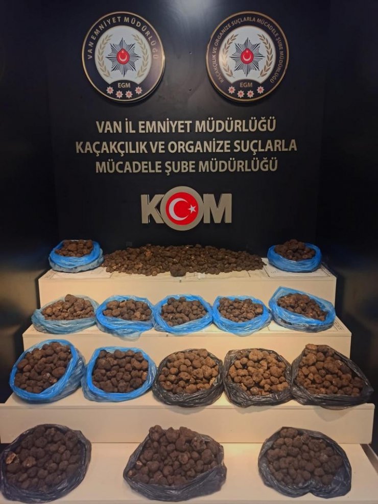 Van’da 97,5 Kilogram Kaçak Trüf Mantarı Ele Geçirildi