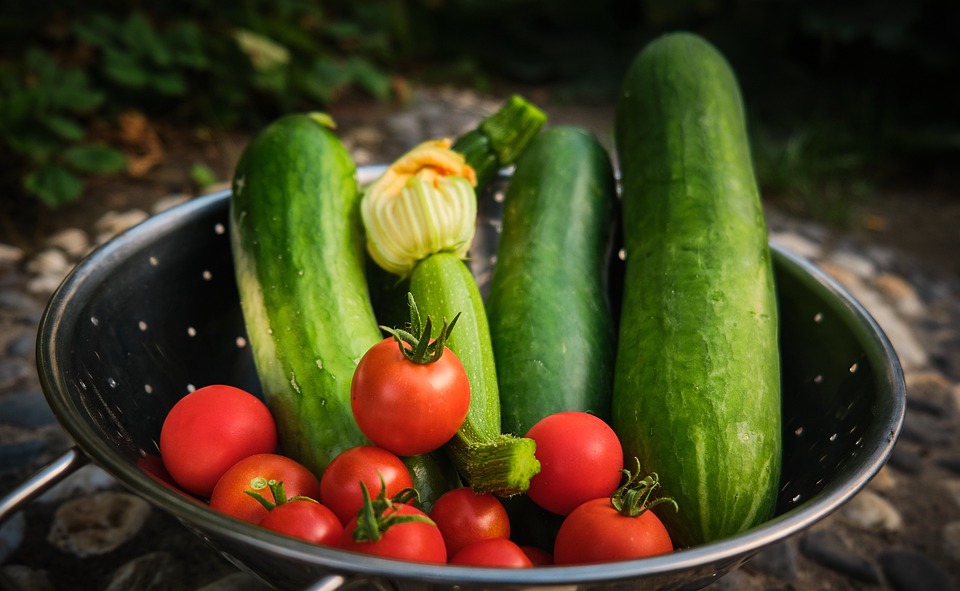 harvest-4387585-960-720.jpg