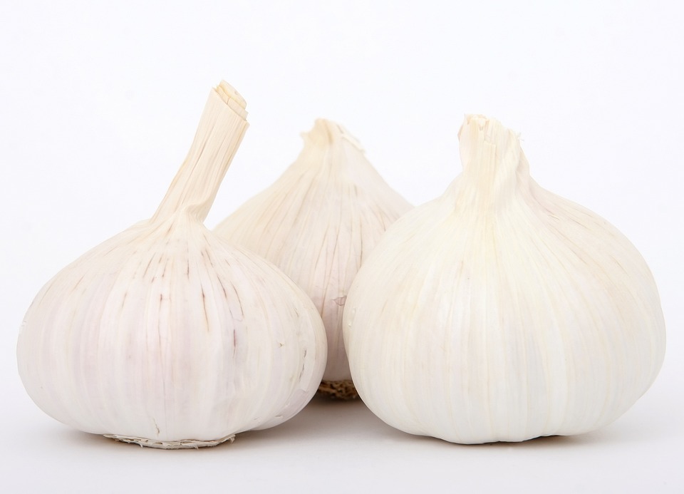garlic-1238337-960-720.jpg