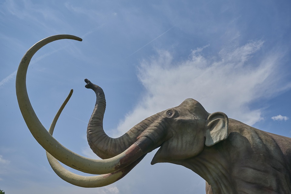 mammoth-3422469-960-720.jpg