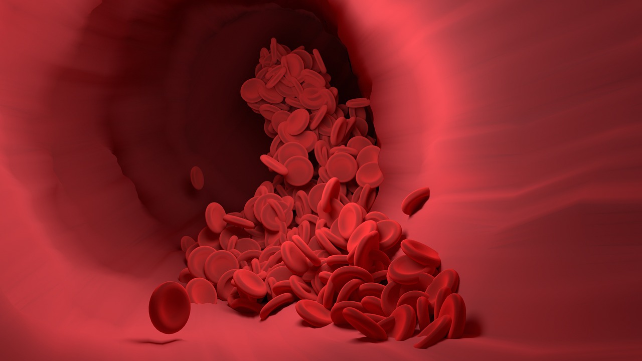 red-blood-cells-4256710-1280.jpg