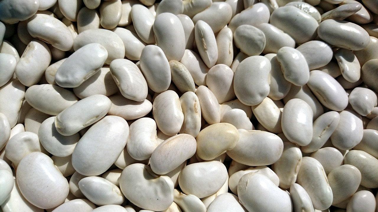 beans-3259013-1280.jpg