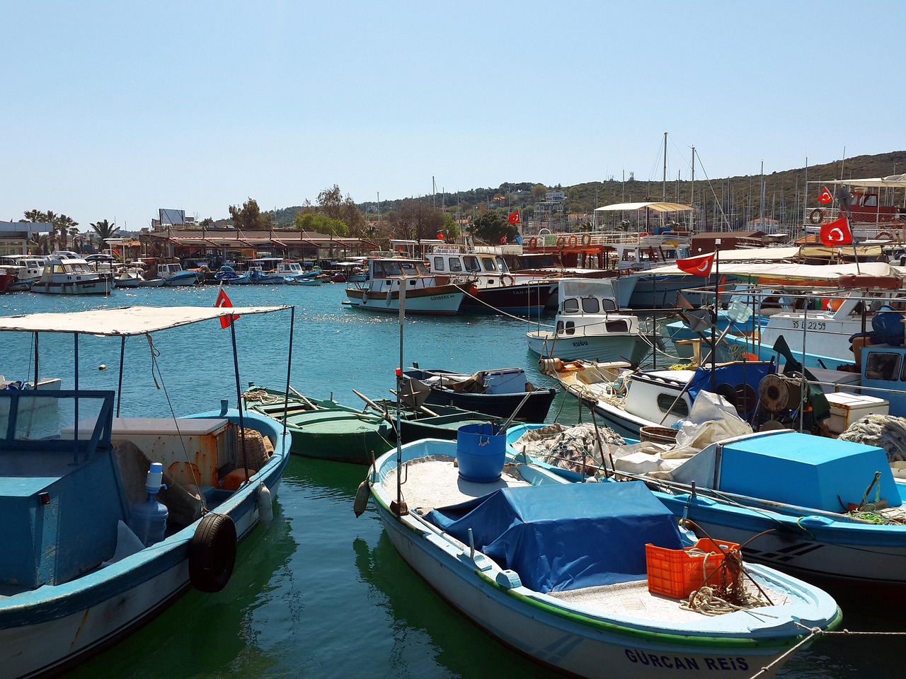 turkey-964830-1280.jpg