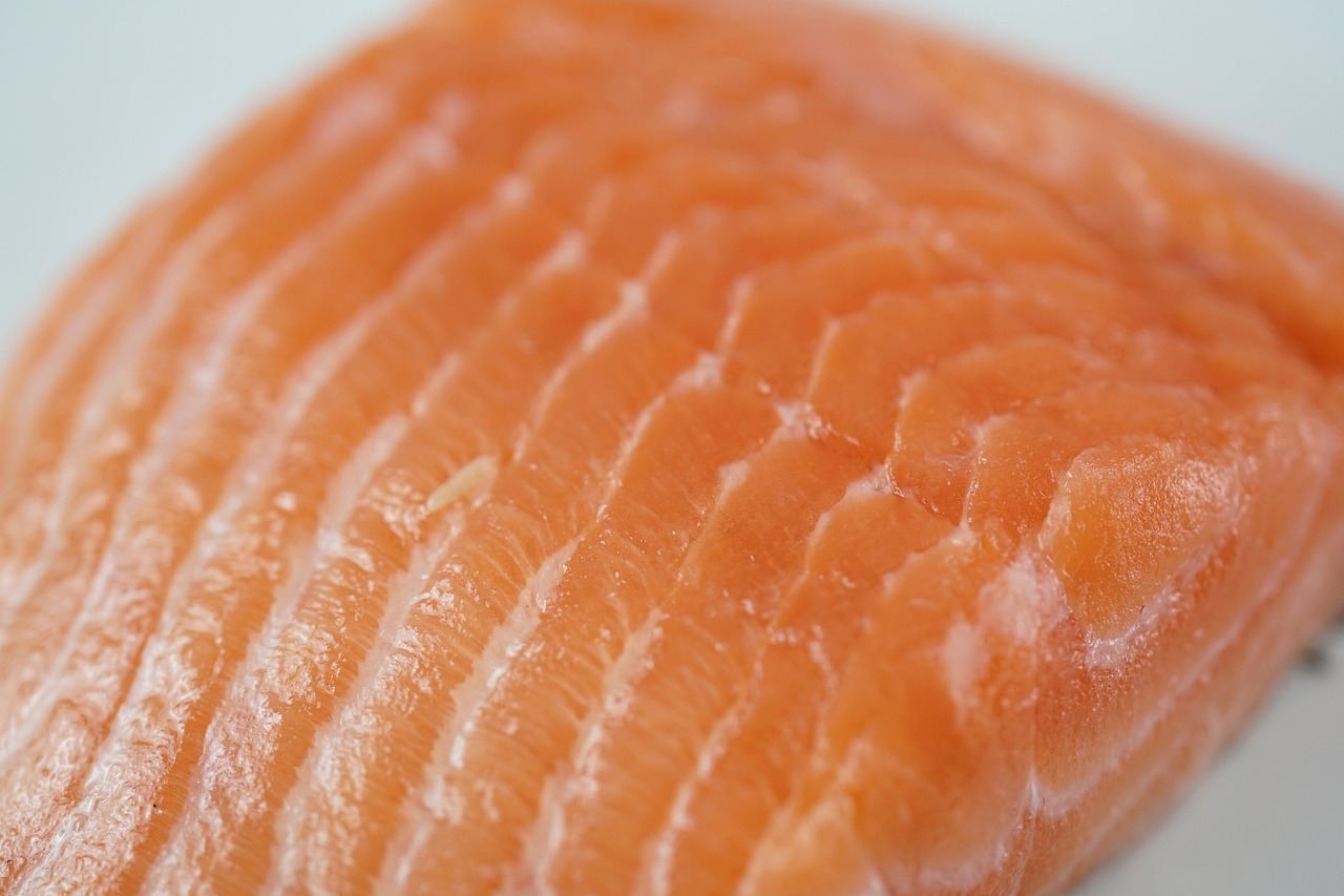 salmon-5892659-1280.jpg
