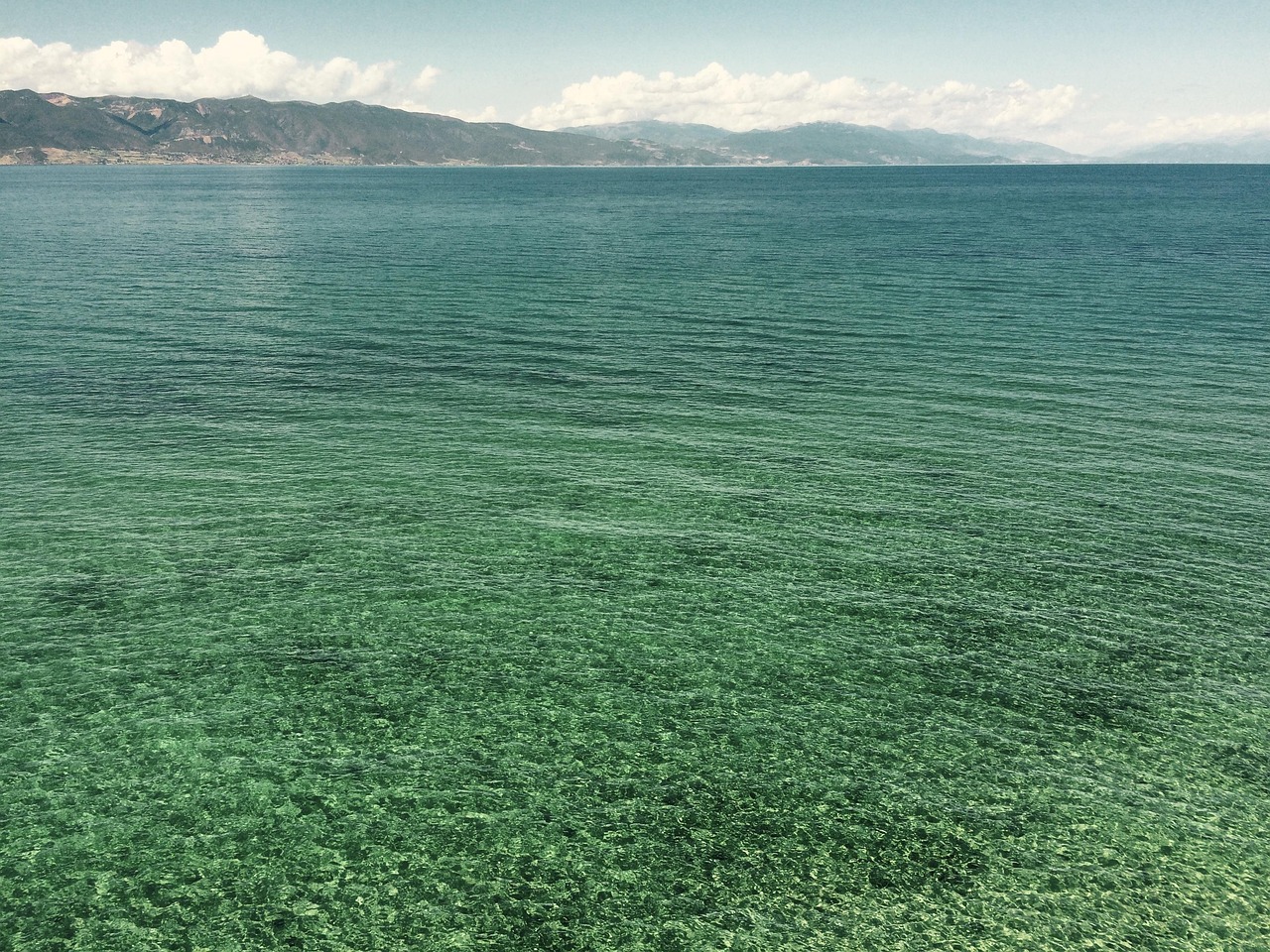 water-1365440-1280.jpg