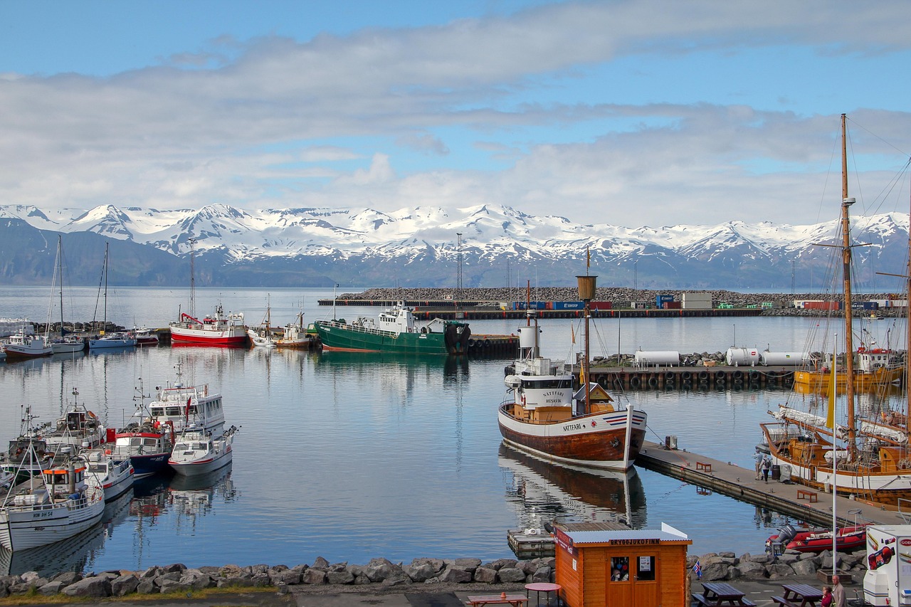 husavik-3654390-1280.jpg