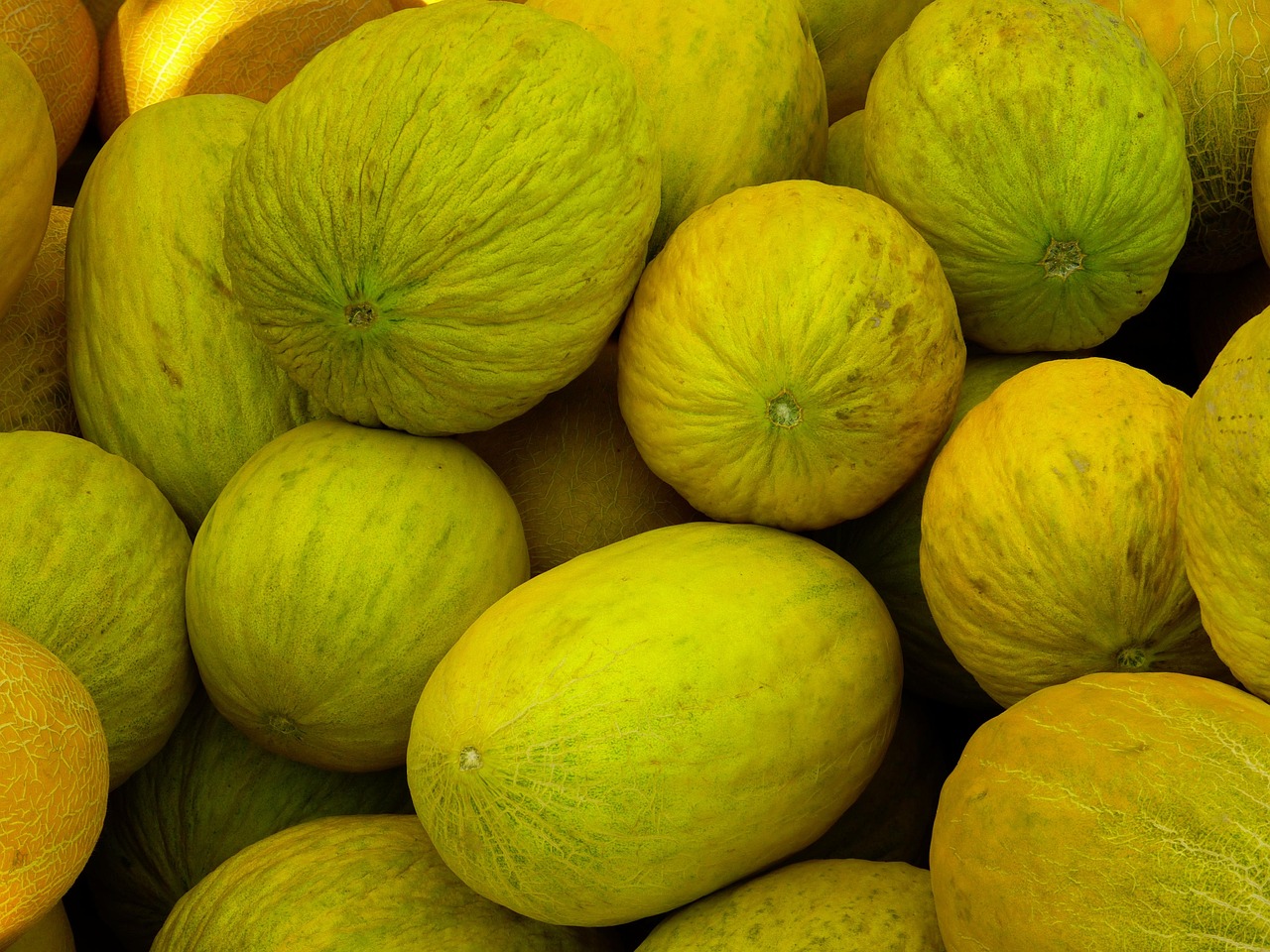 melons-198600-1280.jpg