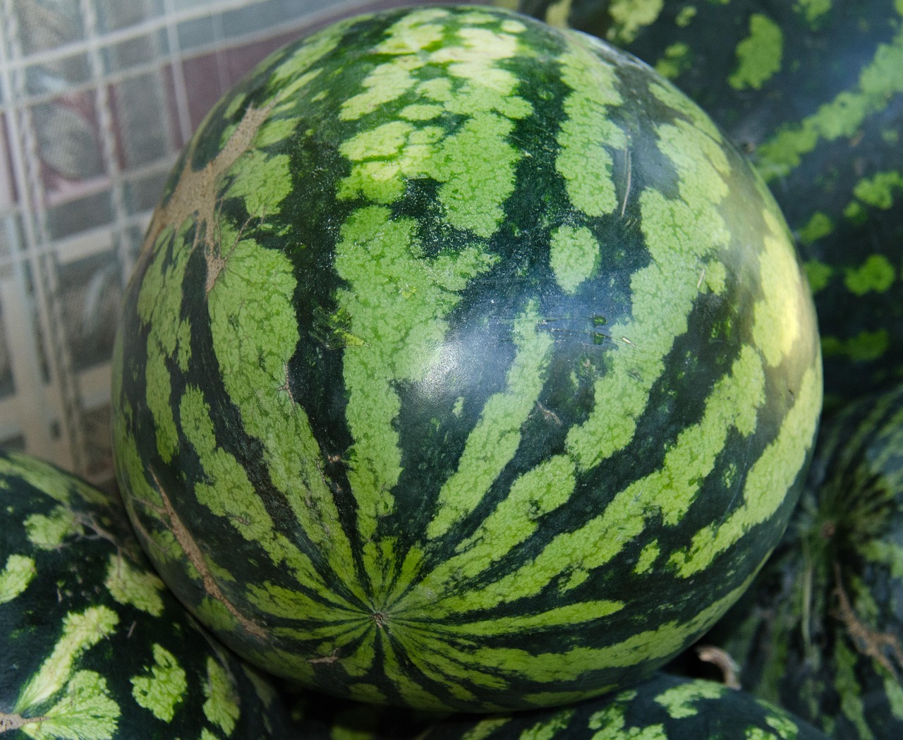 watermelon-453214-1280.jpg