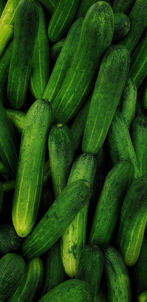 cucumbers-8702238-1280.jpg