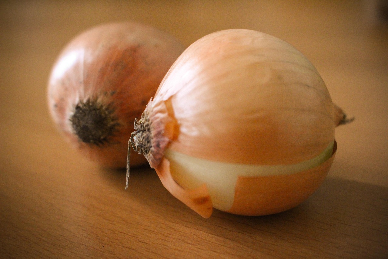 onion-2411459-1280.jpg
