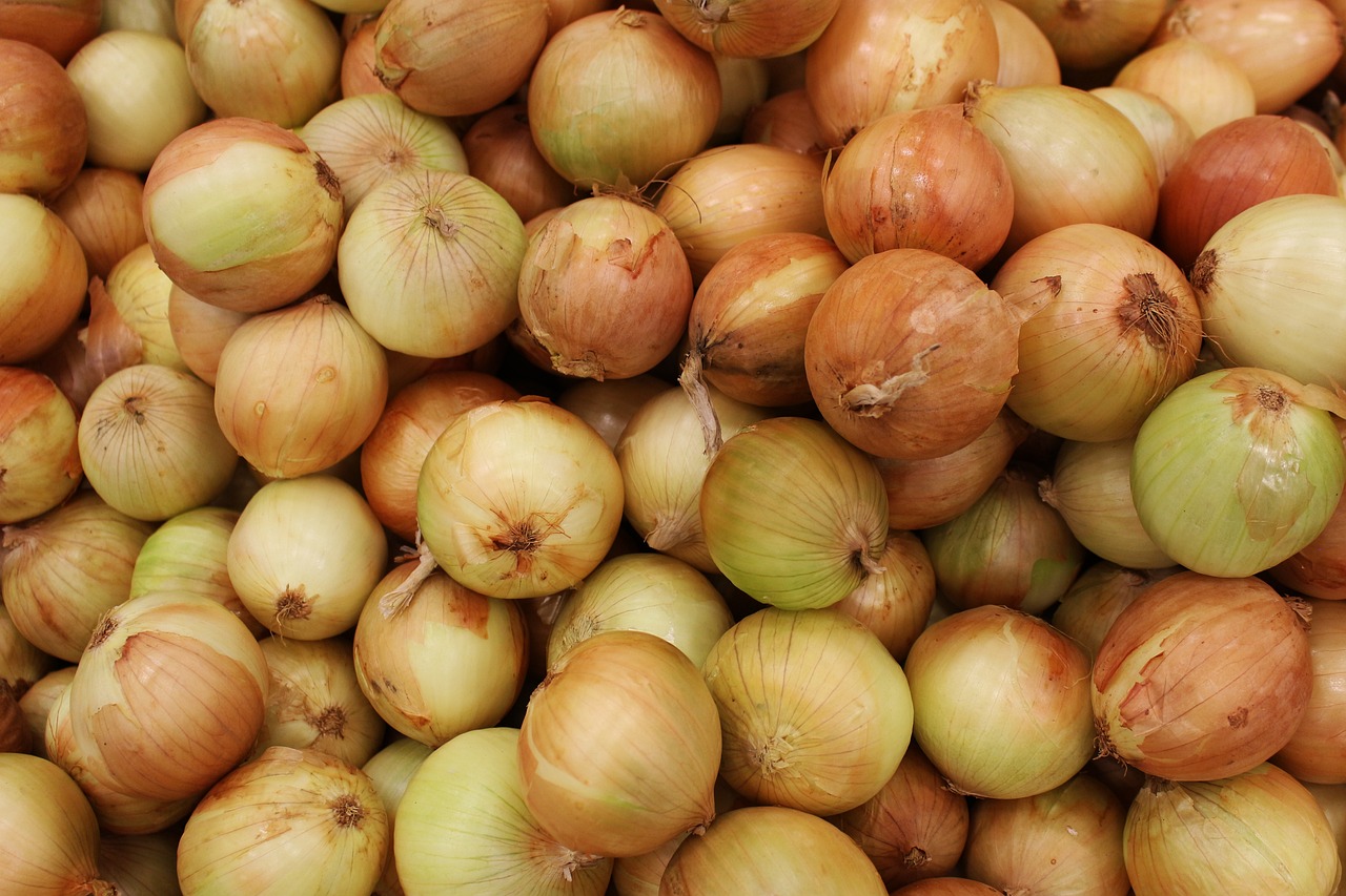 onion-5318951-1280.jpg