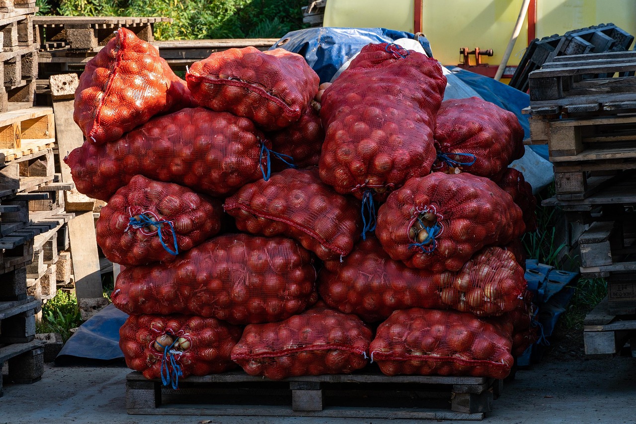 onion-7215772-1280.jpg