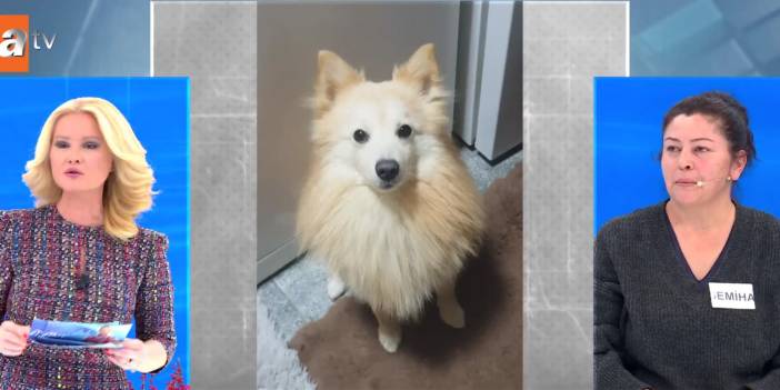 Müge Anlı'ya köpeği için çıkan kadın olay oldu